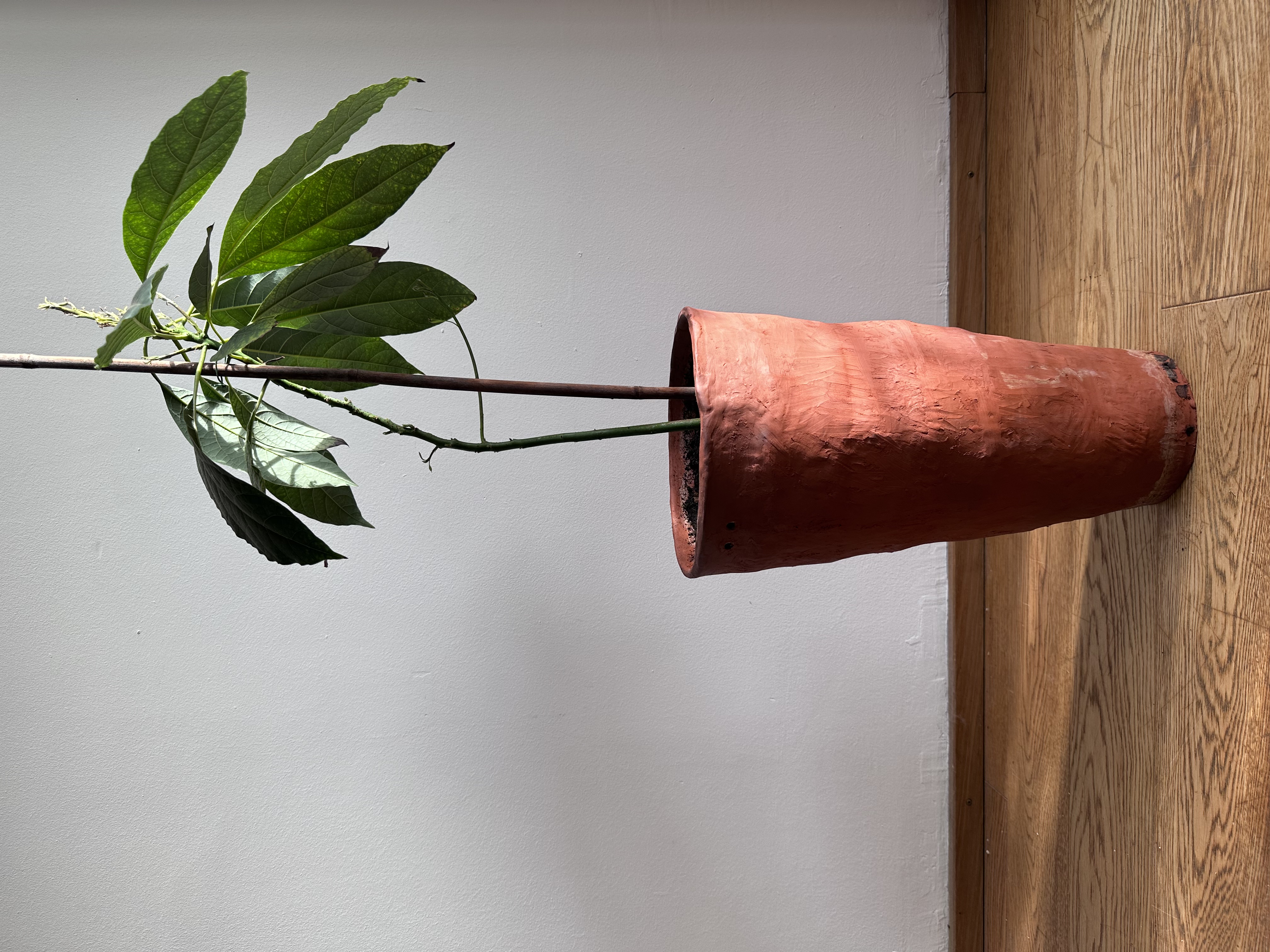 Fertiger 45cm hoher runder Blumentopf mit Pflanze 