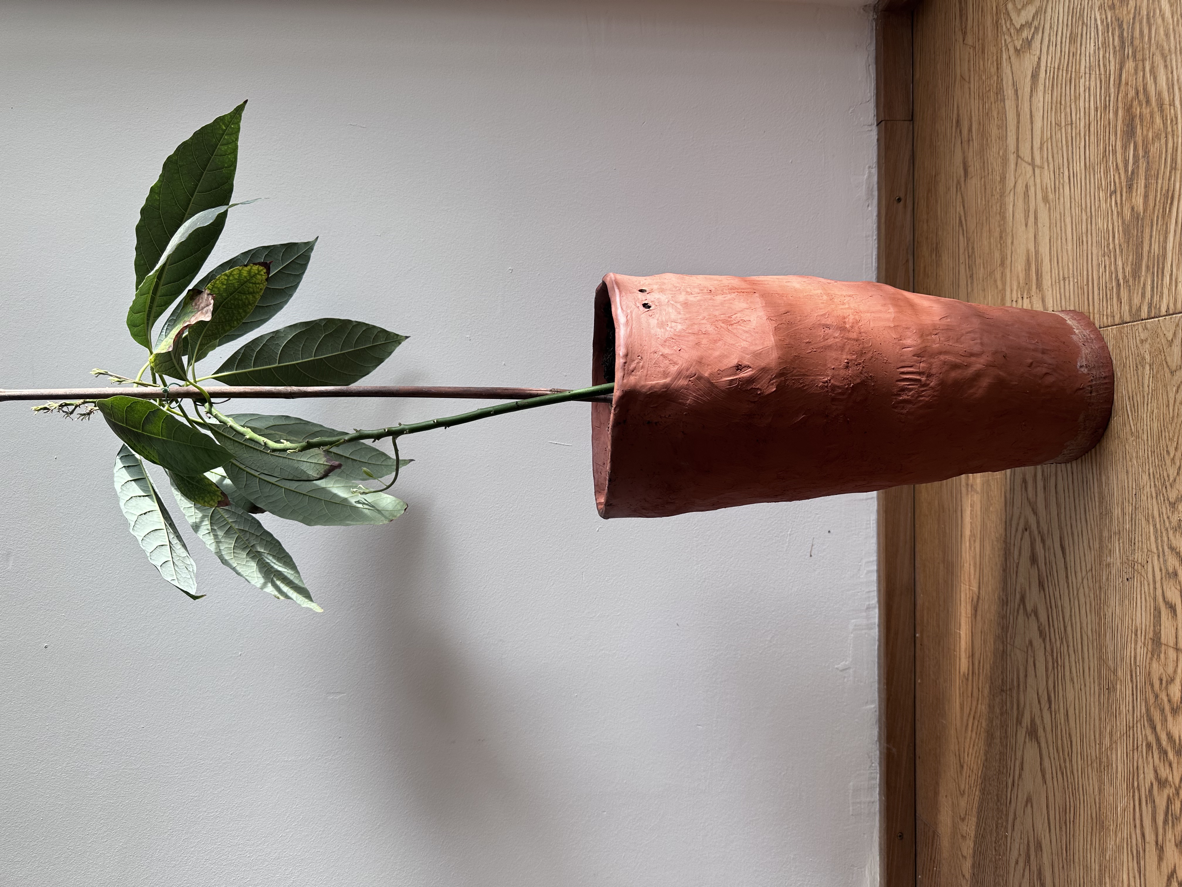 Fertiger 45cm hoher runder Blumentopf mit Pflanze 