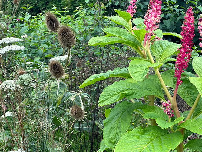 Ansicht Reiler Garten